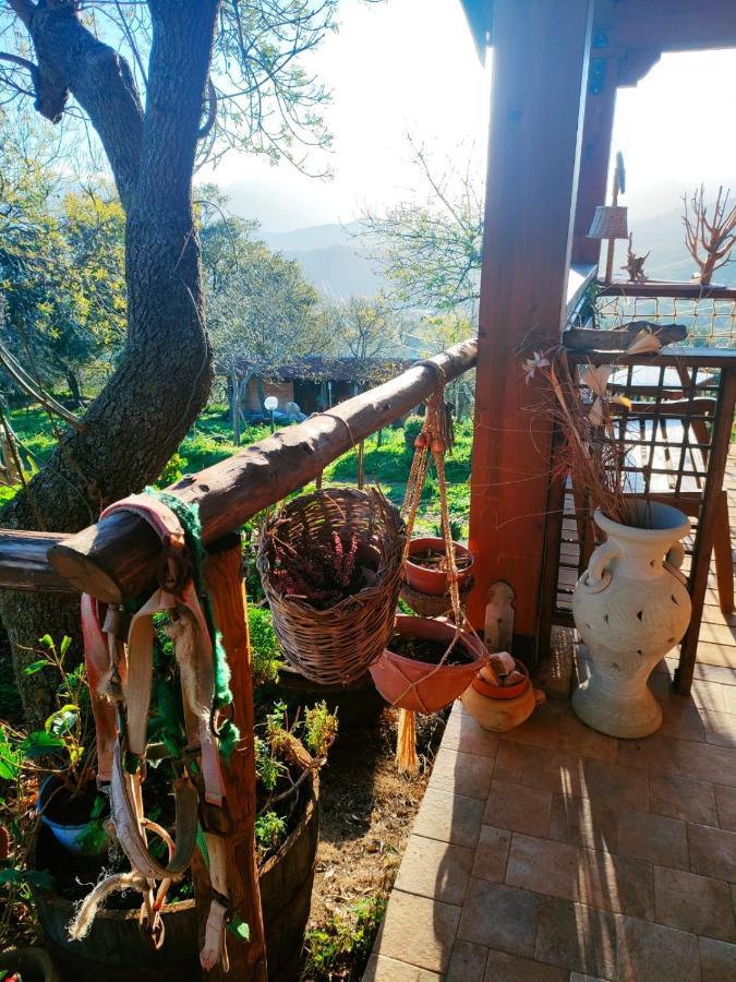 Room In Casa Castiglia A Woodhouse With Beautiful View Close Madonie Park Castelbuono  Exteriér fotografie